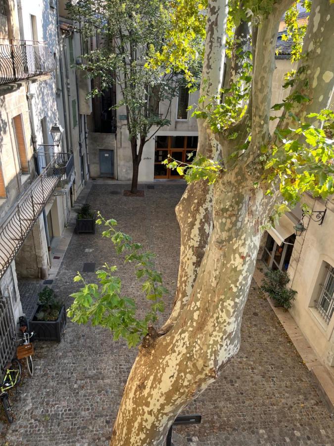 La Charmante Du Palais 2 Chambres Avignon Eksteriør billede